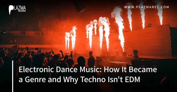Electronic Dance Music: How It Became a Genre and Why EDM Isn't Techno ...